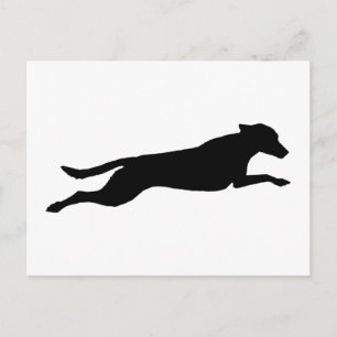 Jumping Dog Silhouette Postcard