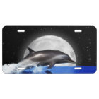 Jumping Dolphin and Moon