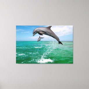 Jumping Dolphins Custom Canvas Wall Art