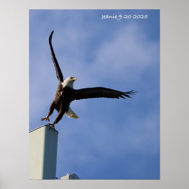 Jumping Eagle Poster (Front)