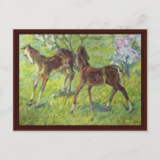 Jumping Foals By Marc Franz Postcard