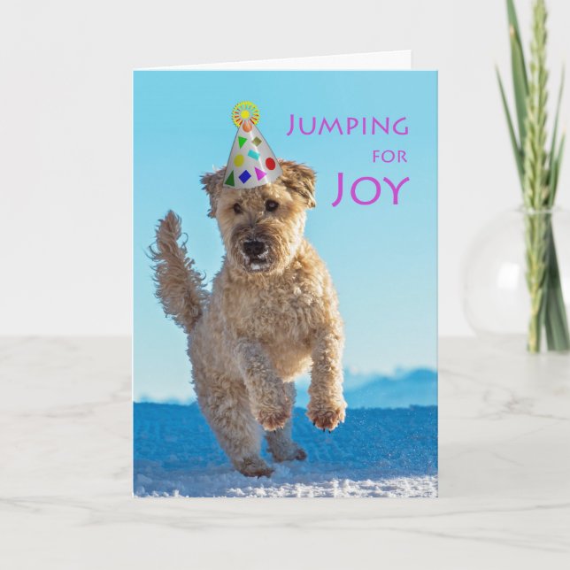 Jumping for Joy, Wheaten Terrier, Birthday Card (Front)