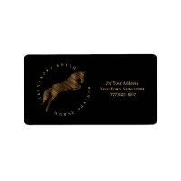 Jumping Horse | Scribble Horse | Horse Trainer