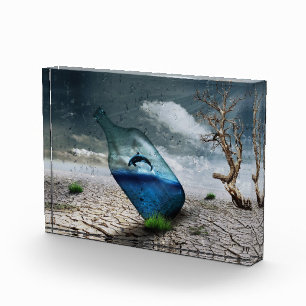 Jumping killer whale in bottle photo block