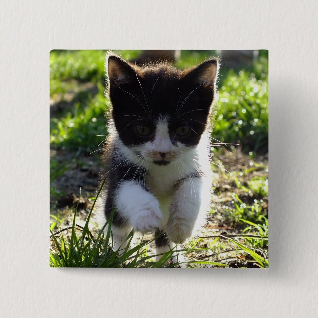 Jumping Kitty 15 Cm Square Badge (Front)