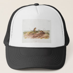 Jumping Mouse Trucker Hat