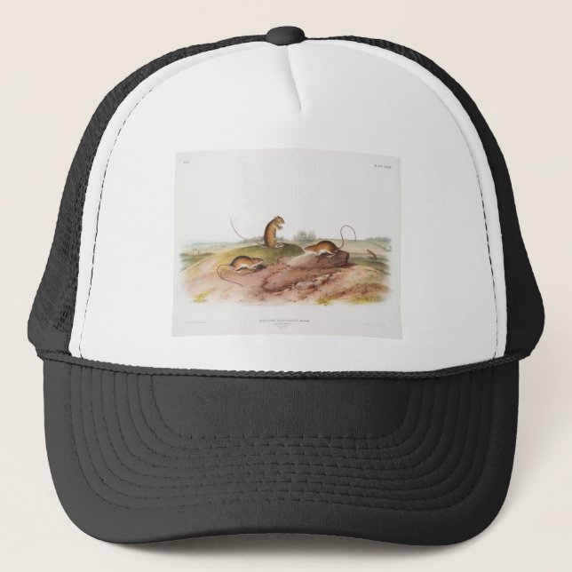 Jumping Mouse Trucker Hat (Front)