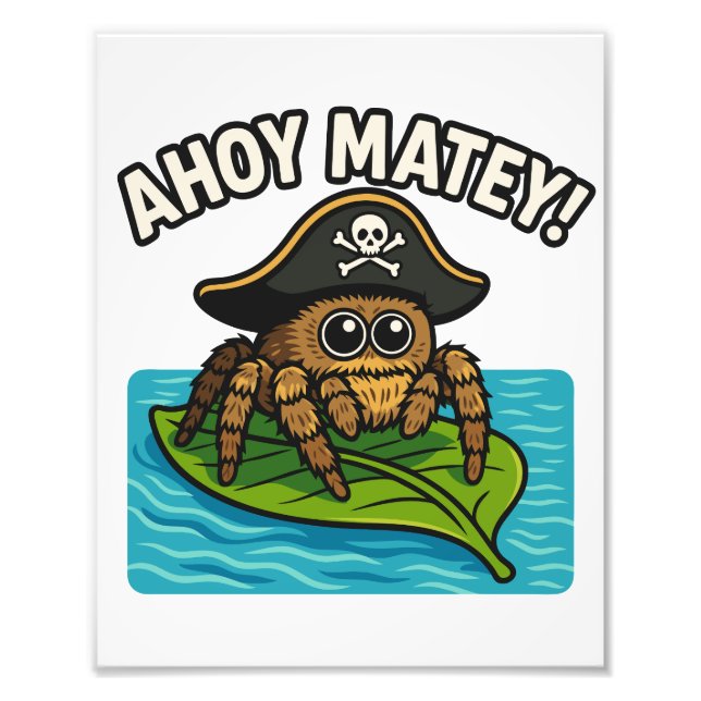 Jumping Pirate Spider Adventure Captain Webbeard Photo Print (Front)