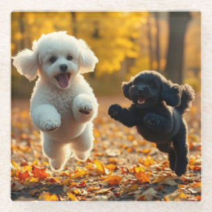 Jumping Poodle Puppies Glass Coaster