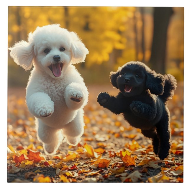 Jumping Poodle Puppies Tile (Front)