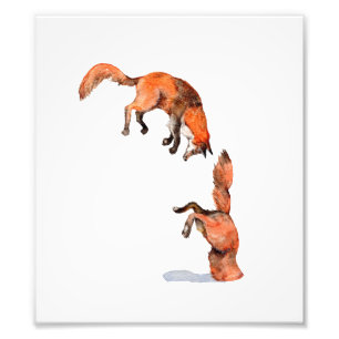 Jumping Red Fox Photo Print