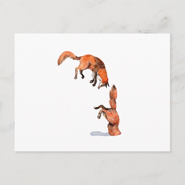 Jumping Red Fox Postcard (Front)