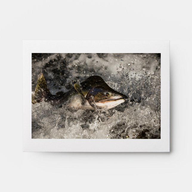 Jumping Salmon Envelope (Front)