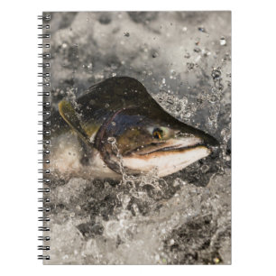 Jumping Salmon Notebook