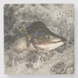 Jumping Salmon Stone Coaster