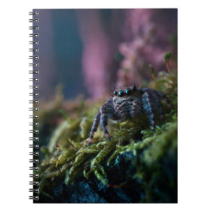Jumping Spider Forest Notebook