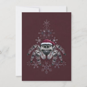 Jumping Spider Holiday Cards