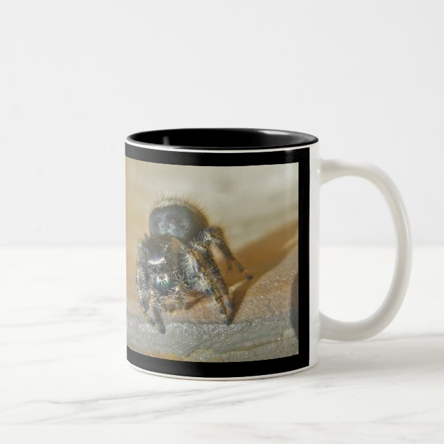 Jumping Spider (Phiddipus audax) Mug (Right)