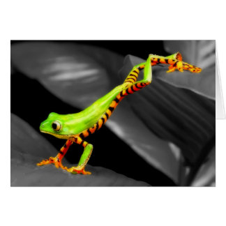 Jumping Tree Frog