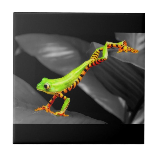 Jumping Tree Frog Tile (Front)