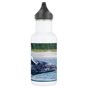 Jumping whale water bottle