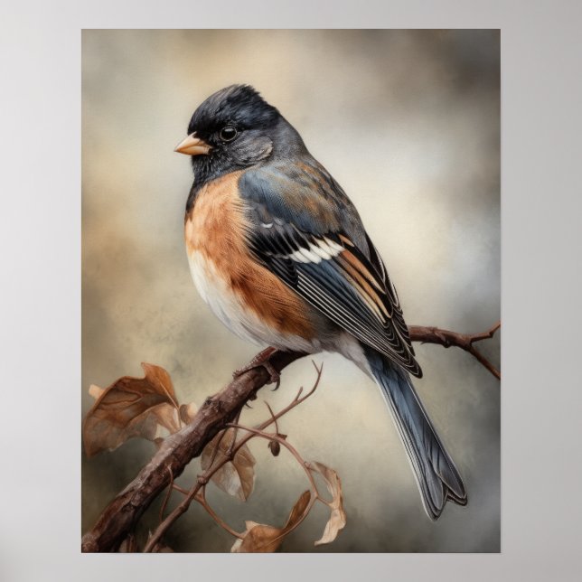 Junco Bird Art Print Poster (Front)