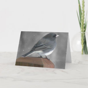 Junco Christmas Card