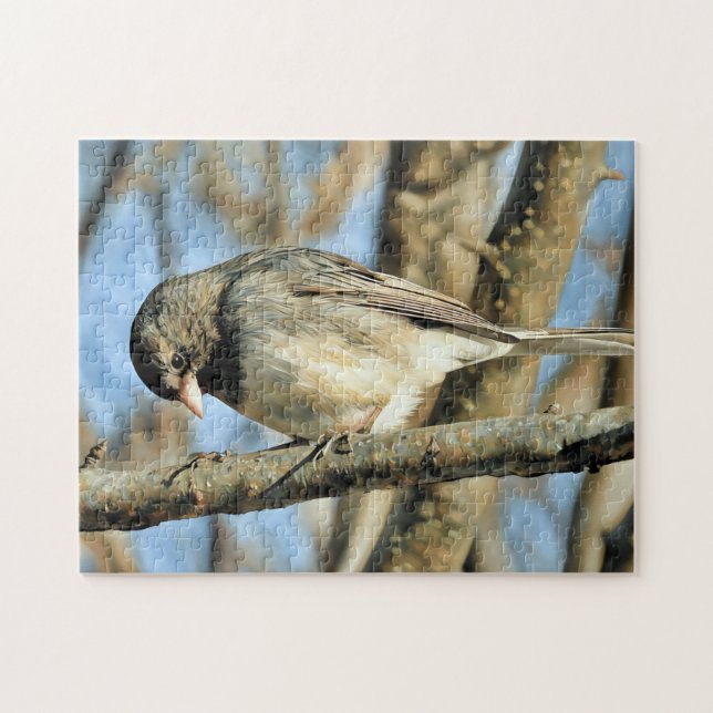 Junco Perched on Branch - Puzzle (Horizontal)