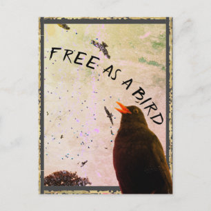 Junction Card No 16: Free as a Bird