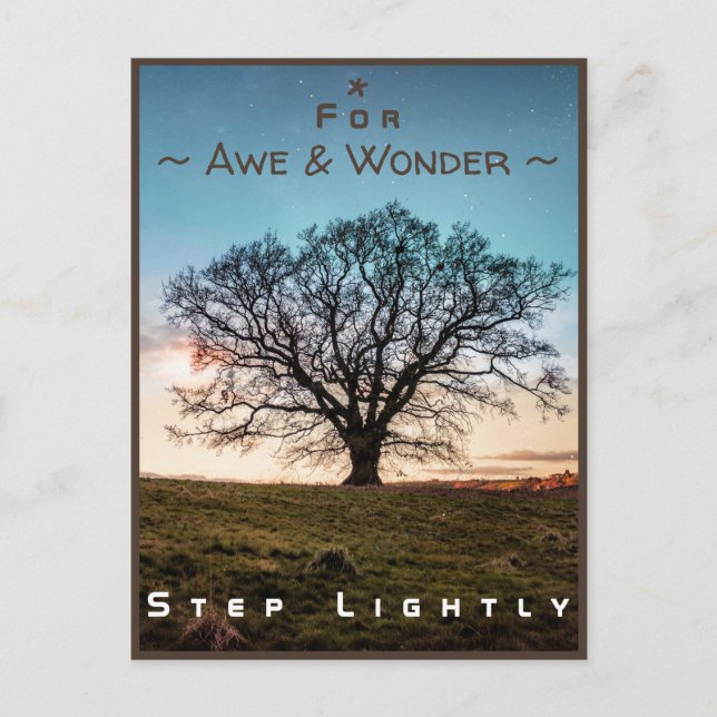 Junction Card No 43a: Step Lightly (Old Oak Tree) (Front)