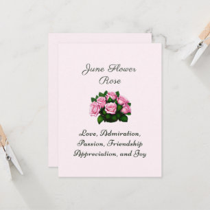 June Birth Month Flower Rose Timeless Floral 