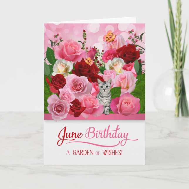June Birthday Kitty in a Rose Garden Card (Front)