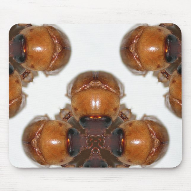 June Bug Gathering by KLM Mouse Mat (Front)