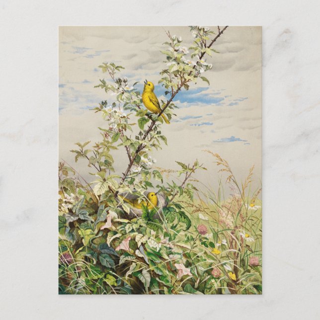 June | Fidelia Bridges Postcard (Front)