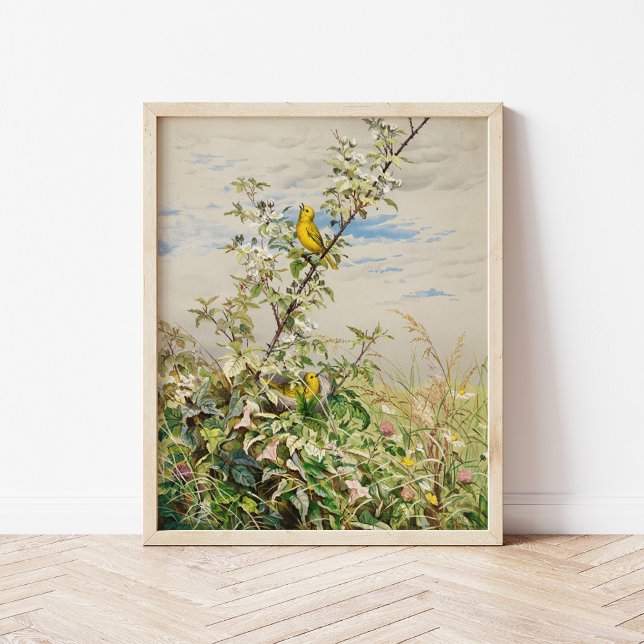 June | Fidelia Bridges Poster (Creator Uploaded)