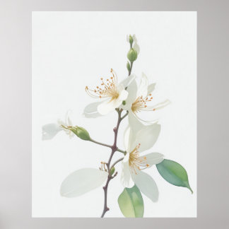 June Honeysuckle Birth Flower Poster