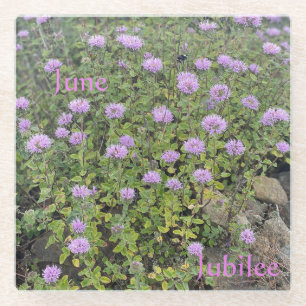 June Jubilee Glass Coaster