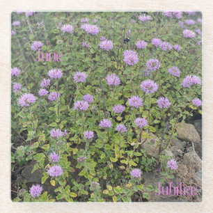 June Jubilee Glass Coaster