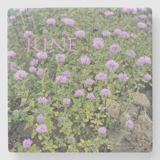 June Mint Stone Coaster (Front)