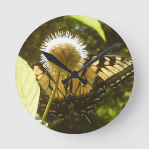 June Monarch  Flower Clock