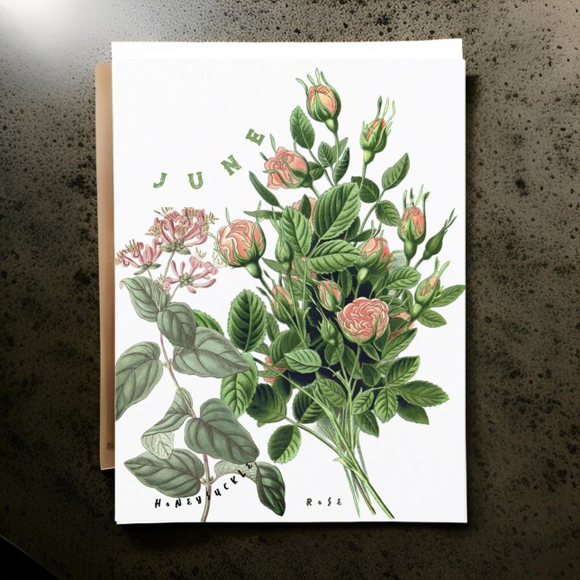 June Month Flowers Honeysuckle Rose Postcard (Creator Uploaded)