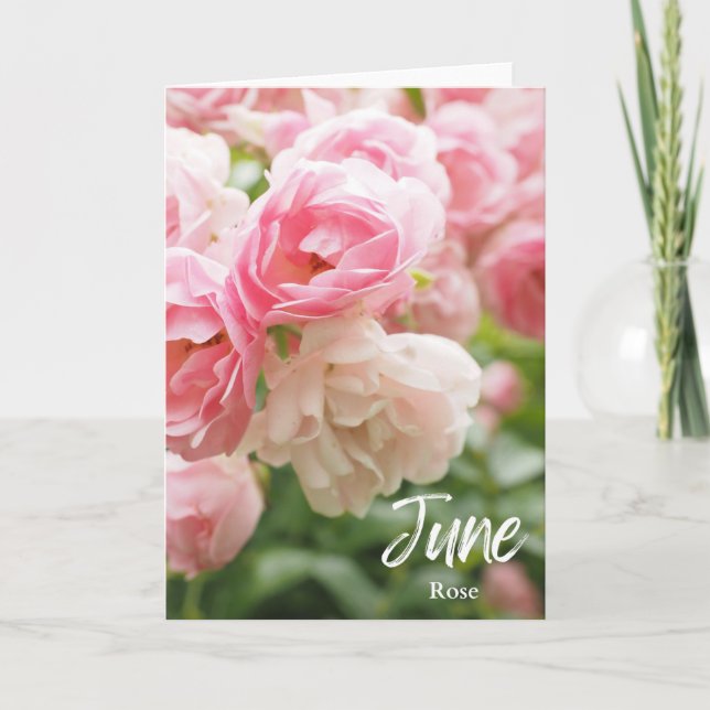June Pink Rose Birth Month Flower Birthday Card (Front)