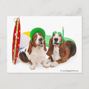 June Postcard