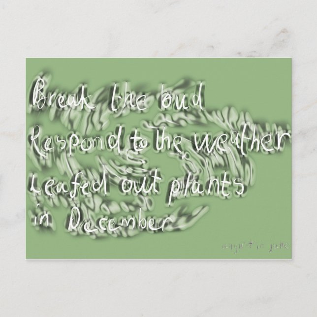 june postcard (Front)