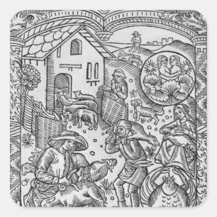 June, sheep shearing, Gemini Square Sticker