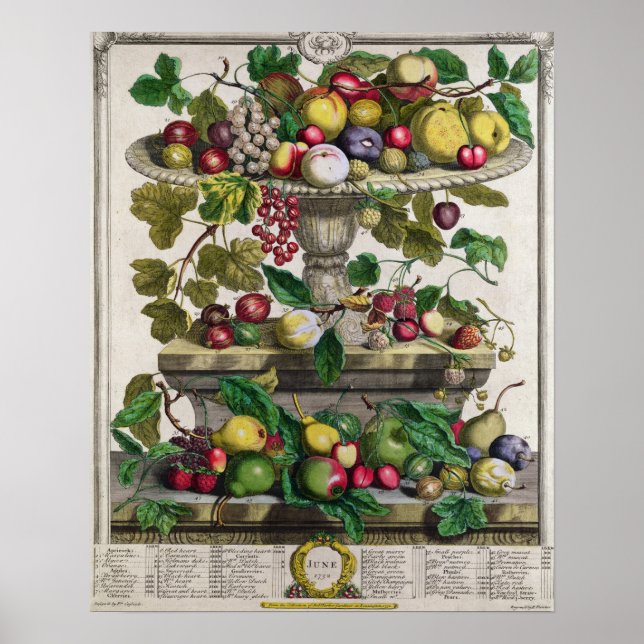 June, 'Twelve Months of Fruits' Poster (Front)