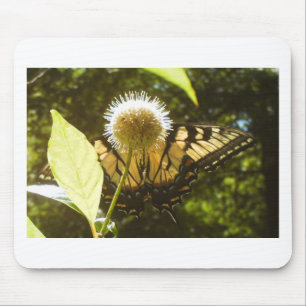 June Yellow Monarch Flower Mouse Pad