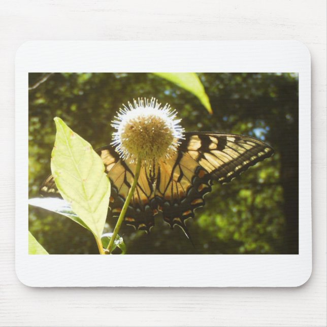 June Yellow Monarch Flower Mouse Pad (Front)