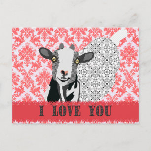 Junebug Love Damask  Postcard