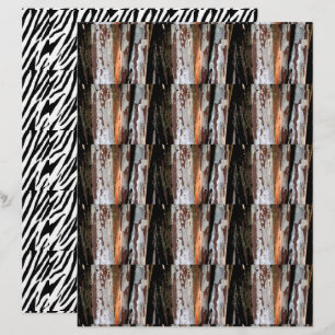 Jungle 1 two-sided design